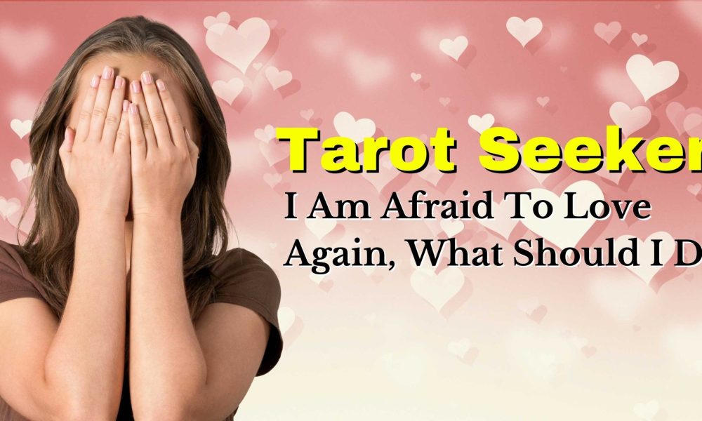 tarot seekers : i am afraid to love again, what should i do?